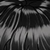 Black_31