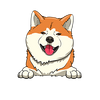 Akita 1