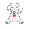 American Foxhound 2
