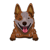 Australian Cattle Dog (Heeler) 2