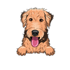 Airedale Terrier 1