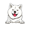 Akita 3