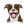 American Pit Bull Terrier 2