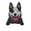 Australian Cattle Dog (Heeler) 1
