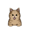Tabby 3