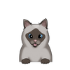 Siamese 2