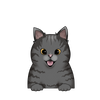 Tabby 2