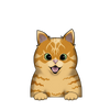 Ocicat 4