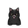 Ocicat 3