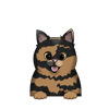 Tortoiseshell Shorthair 2