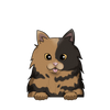 Tortoiseshell 2
