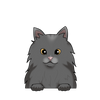 Angora 3