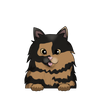 Tortoiseshell 4