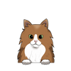 Norwegian forest 1