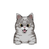 Ocicat 2
