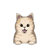 Tabby 5