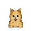 Tabby 4