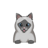 Siamese 1