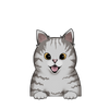 Tabby 1