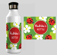 Ladybug