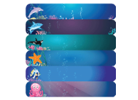 Sea Animals