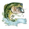 35