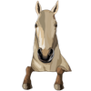 25