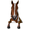 64
