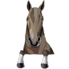 37
