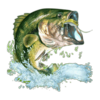 35