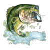 35