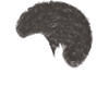 1 (11)