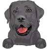 Labrador Retriever (1)