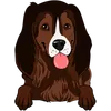 Field Spaniel (4)