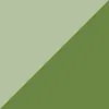Celadon Contrast