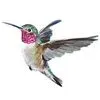 Hummingbird