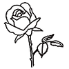 June(Rose)