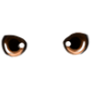 2_0