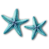 Starfish