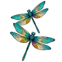 swatch image style