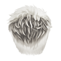 swatch image style