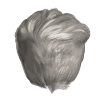 swatch image style