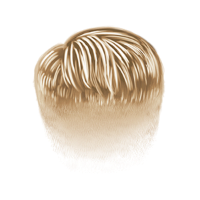 swatch image style