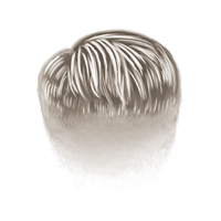 swatch image style