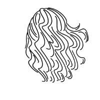 swatch image style