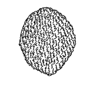 swatch image style