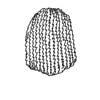 swatch image style