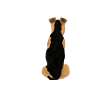 swatch image style