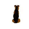 swatch image style