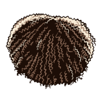 swatch image style